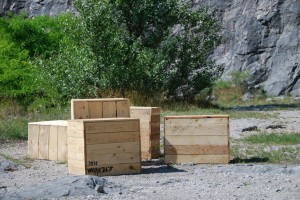 10497388 585321068252969 7721045660186693408 o (1)